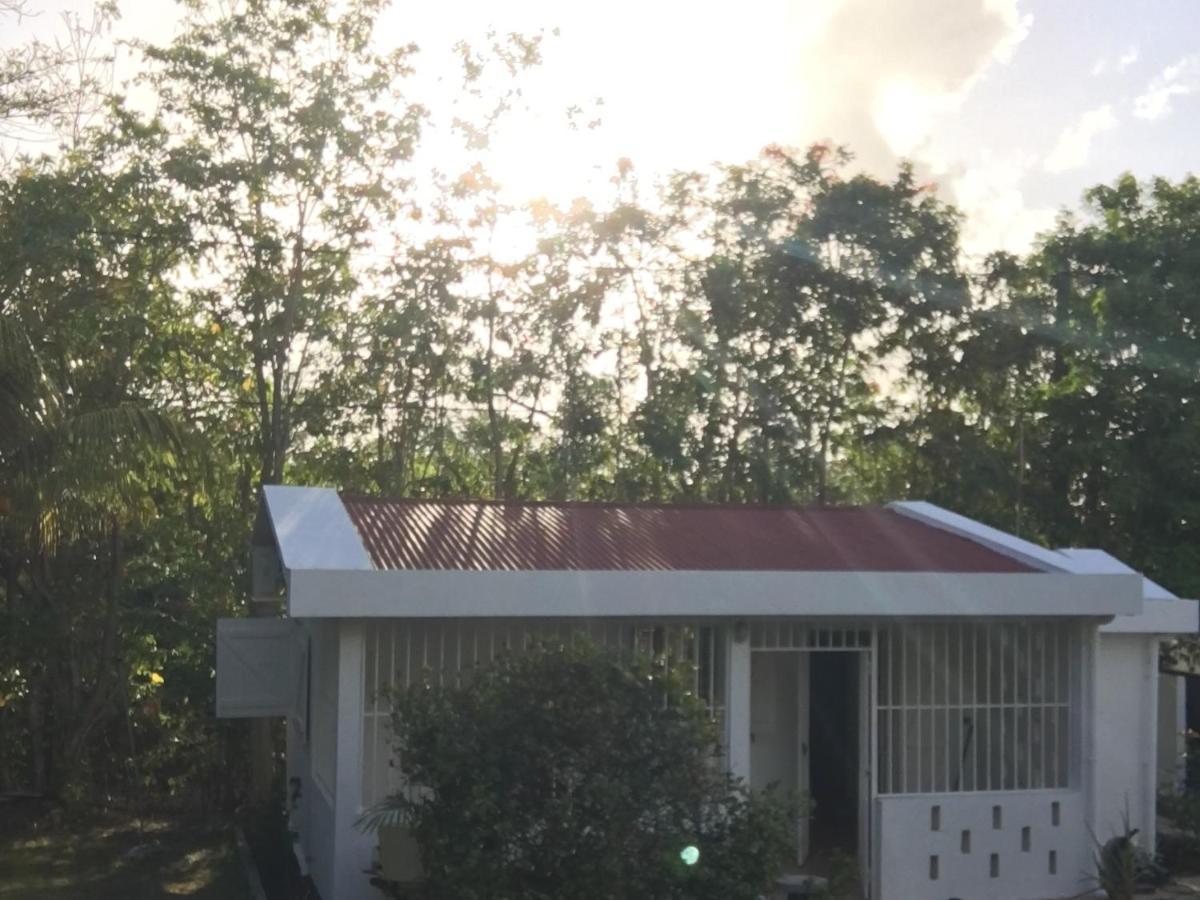 Vila Le Belleplaine Le Gosier  Exteriér fotografie