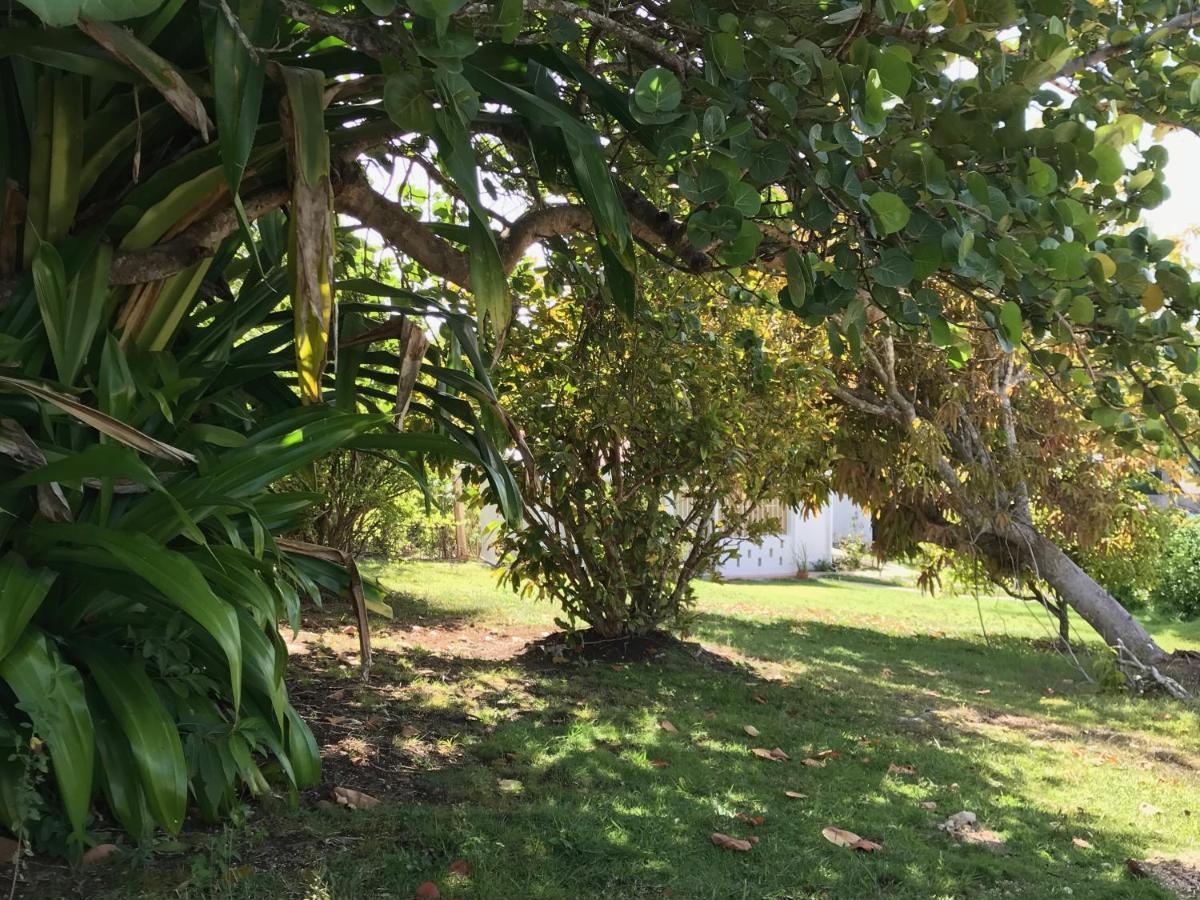 Vila Le Belleplaine Le Gosier  Exteriér fotografie